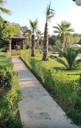 Video thumb