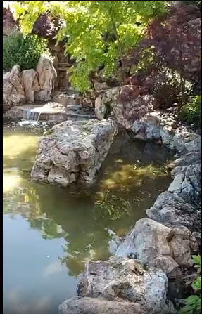 Video thumb