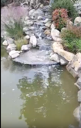 Video thumb